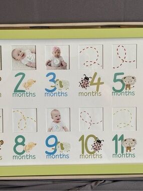 Fetco Home Decor Darling 12-month collage frame with a lime green border